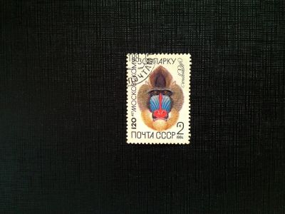 Лот: 14543689. Фото: 1. марка СССР бк 75. Марки