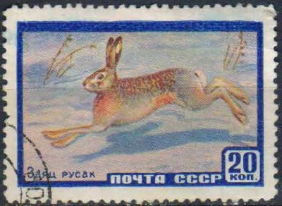 Лот: 25070320. Фото: 1. 1960, март. Фауна СССР. № 2403. Марки