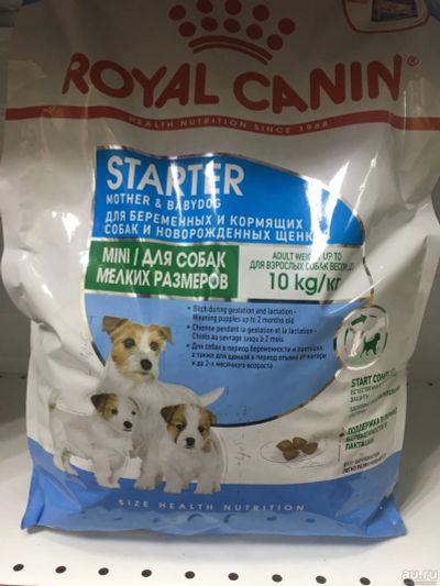 Лот: 15958932. Фото: 1. Royal Canin корм для новорождённых... Корма