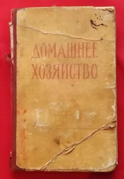 Лот: 19390875. Фото: 1. (№4081-И-421) книга "Домашнее... Книги