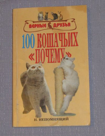 Лот: 16236497. Фото: 1. книга верные друзья 100 кошачьих... Другое (литература, книги)