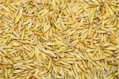 Лот: 6597539. Фото: 1. Ячмень опт 1000 кг. Крупы, сыпучие продукты
