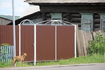 Лот: 17243075. Фото: 1. Ворота из профтрубы. Ворота, заборы, шлагбаумы