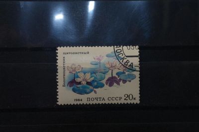 Лот: 3991924. Фото: 1. марки СССР 7 Болотноцветник щитолистный... Марки