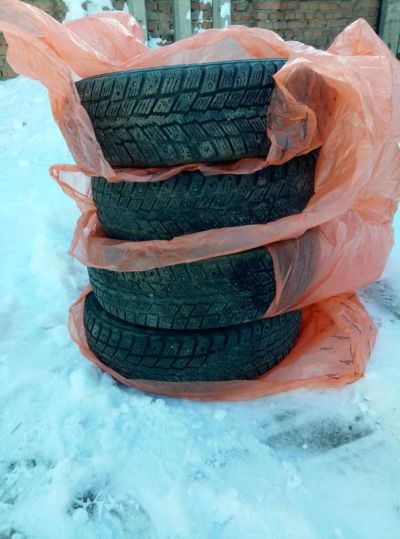 Лот: 10718985. Фото: 1. Roadstone winguard 231 зимние... Шины