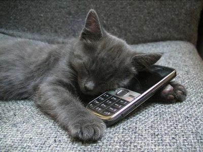 Лот: 1316052. Фото: 1. Nokia c 5-00 Срочно Срочно,Смотрим... Смартфоны