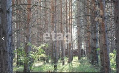 Лот: 25297220. Фото: 1. участок , СНТ Ганина Заимка СНТ... Земельные участки