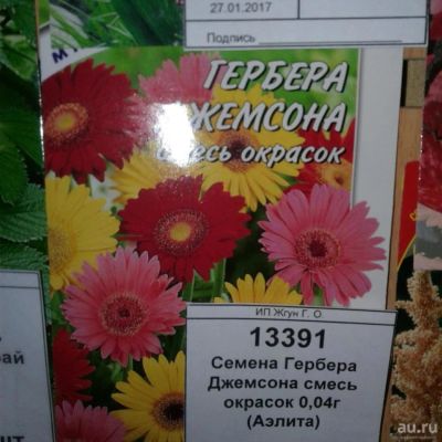 Лот: 9118643. Фото: 1. Семена / цветы / Гербера Джемсона... Садовые цветы