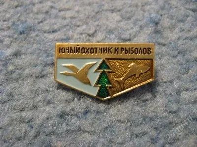Лот: 68038. Фото: 1. значок "Юный охотник и рыболов... Другое (значки, медали, жетоны)