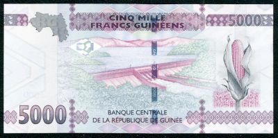 Лот: 6327438. Фото: 1. Гвинея 5000 франков 2015г ПРЕСС. Африка