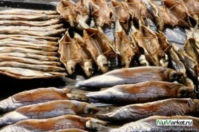 Лот: 1186464. Фото: 1. омуль енисейский х/к. Икра, рыба, морепродукты