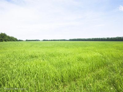 Лот: 2559782. Фото: 1. Земельный участок. 15.1га сухобузимский... Дачи