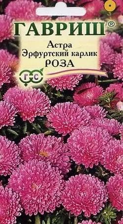 Лот: 11024634. Фото: 1. Астра Эрф. карлик Роза 0,3 г. Садовые цветы