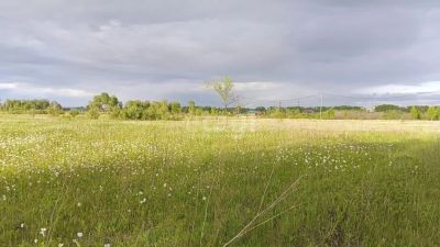 Лот: 25296102. Фото: 1. участок , посёлок Берёзовая Роща... Земельные участки