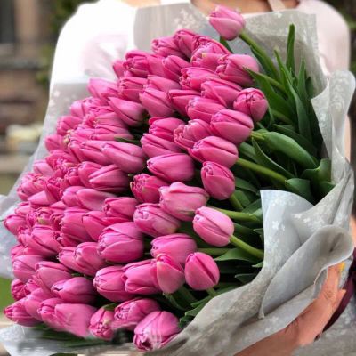 Лот: 21543447. Фото: 1. Тюльпаны 7₽ шт 100шт куплю. Подарки на 8 марта