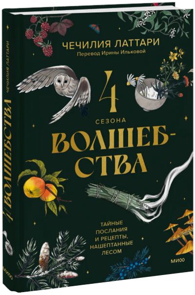 Лот: 24464175. Фото: 1. 4 сезона волшебства. Художественная