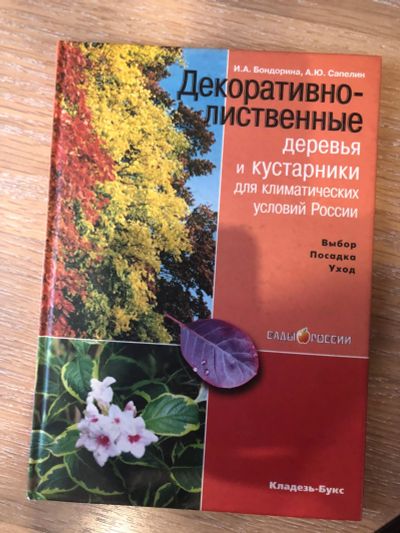 Лот: 12608795. Фото: 1. Декоративно-лиственные деревья... Декоративно-прикладное искусство