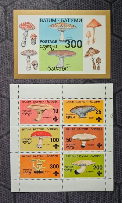 Лот: 25705680. Фото: 1. Марки: Батуми. Грибы (МЛ и ПБ... Марки