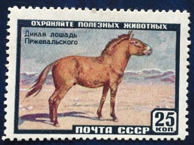 Лот: 23305636. Фото: 1. Почтовая марка-105. Марки