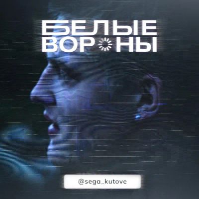 Лот: 24290865. Фото: 1. Белые вороны. Видеозаписи, фильмы