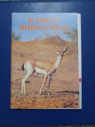 Лот: 24890346. Фото: 1. Набор открыток 3. Открытки, конверты