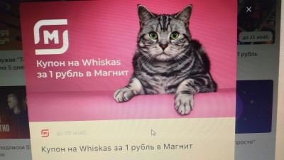 Лот: 19529447. Фото: 1. Купон на whiskas за 1 рубль на... Корма