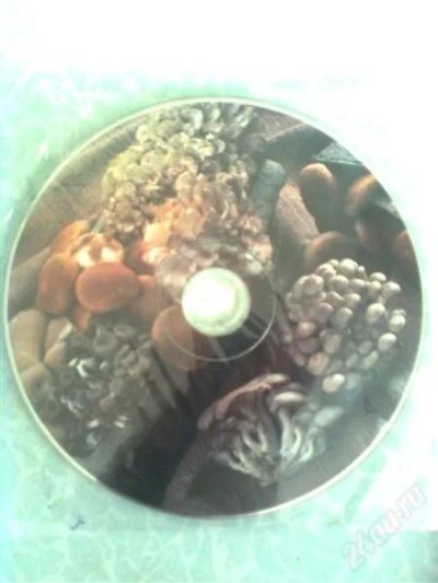 Лот: 1147305. Фото: 1. DVD Как выращивать грибы вёшенка... Другое (парники, теплицы)