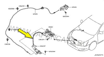 Лот: 21770039. Фото: 1. Тросик замка капота Nissan Teana... Кузов