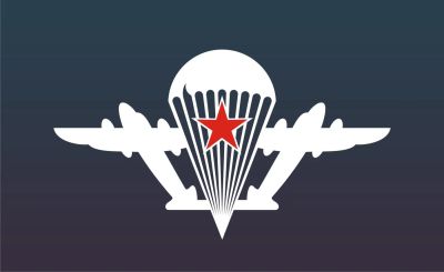 Лот: 7918418. Фото: 1. ВДВ. Наклейки автомобильные