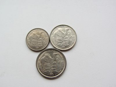 Лот: 13889895. Фото: 1. Западная Сахара набор из 3 монет... Наборы монет