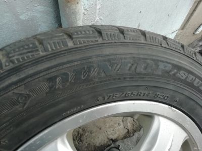 Лот: 13310523. Фото: 1. Dunlop Dsx R14 175/65. Шины