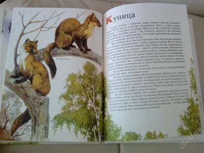 Лот: 1687756. Фото: 1. Азбука природы. (Звери и птицы... Энциклопедии