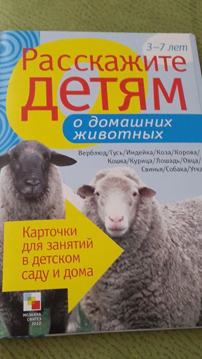 Лот: 9379526. Фото: 1. Карточки Домашни животные. Другое (дети растут)