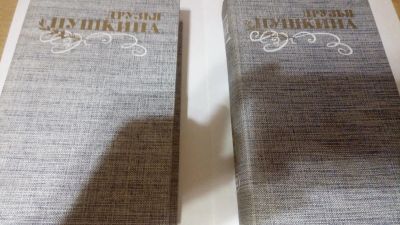 Лот: 13917299. Фото: 1. Друзья Пушкина. Переписка;Воспоминания... Мемуары, биографии