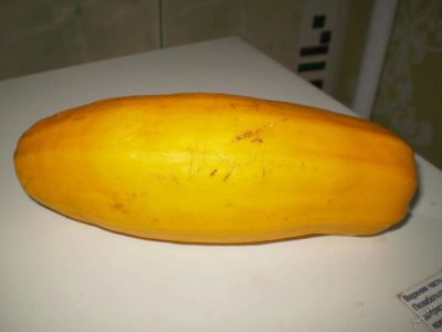 Лот: 5930987. Фото: 1. Кабачок желтый. Овощи, фрукты, зелень