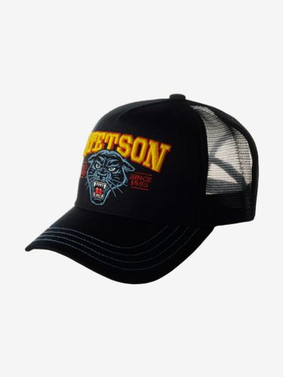 Лот: 22436940. Фото: 1. Бейсболка с сеточкой STETSON 7761118... Другое (спортивная одежда)