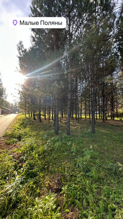 Лот: 24699750. Фото: 1. Малые поляны тер. ДНТ Малые поляны... Земельные участки