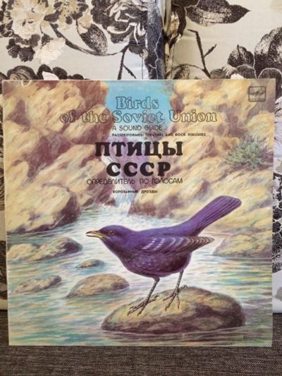 Лот: 15153968. Фото: 1. Птицы СССР винил, пластинка, LP... Аудиозаписи