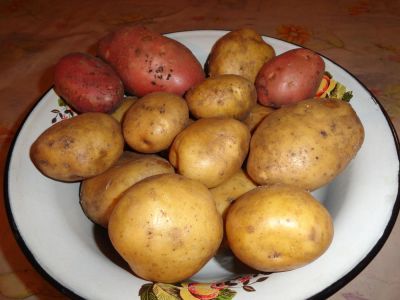 Лот: 6604195. Фото: 1. Продам вкусный картофель с доставкой. Картофель