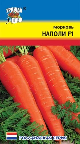 Лот: 10986536. Фото: 1. Семена моркови "Наполи" - скороспелая... Овощи