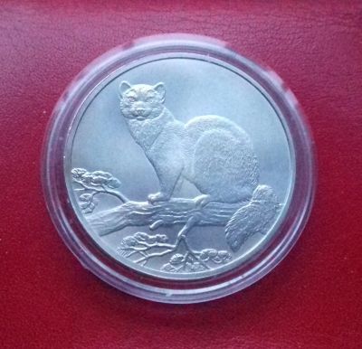 Лот: 16772534. Фото: 1. 3 рубля 1995 года. Соболь. Серебро... Россия после 1991 года