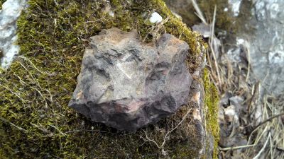 Лот: 24812814. Фото: 1. Мордочка зверька. Минералы и окаменелости