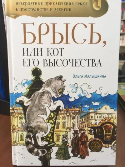 Лот: 11203329. Фото: 1. Ольга Малышкина "Брысь, или Кот... Художественная для детей