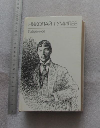 Лот: 23459301. Фото: 1. Николай Гумилев. Избранное. Красноярское... Художественная