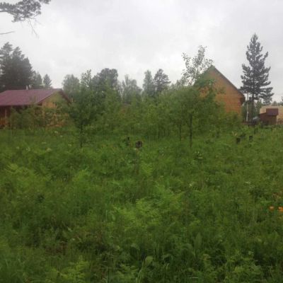 Лот: 6717850. Фото: 1. Земельный участок. Земельные участки
