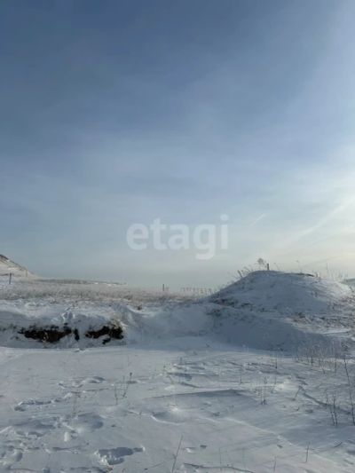 Лот: 25293831. Фото: 1. участок , садоводческое некоммерческое... Земельные участки