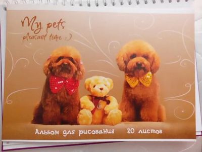 Лот: 6761036. Фото: 1. Альбом д/рисования 20 л. Школьная канцелярия