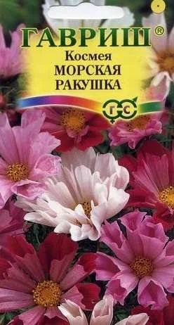 Лот: 11025141. Фото: 1. Космея Морская ракушка 0,3 г. Садовые цветы