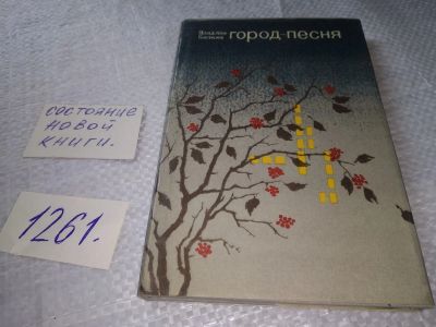 Лот: 16971327. Фото: 1. Город-песня, Белкин Владлен Николаевич... Художественная
