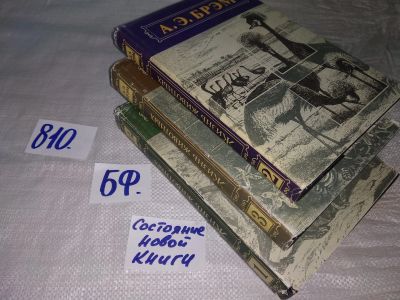 Лот: 12440798. Фото: 1. (2092324)Альфред Эдмунд Брэм\Брем... Биологические науки